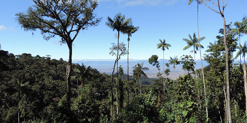 ITATIAIA NATIONAL PARK